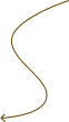 Shape Image